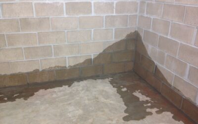 Signs Indicating You Should Waterproof Your Basement